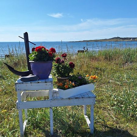 Feriehus Ved Barentshavet - Holiday Home By The Barents Sea Ytre Kiberg エクステリア 写真